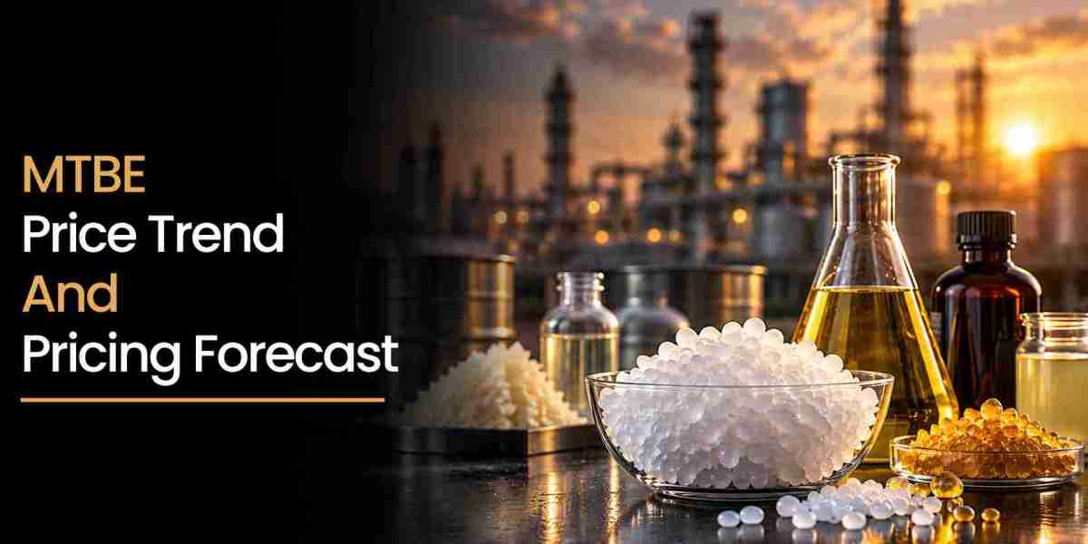 Methyl Tert-Butyl Ether Price Trends Q2 2026 Forecast, Chart, Prices and Index
