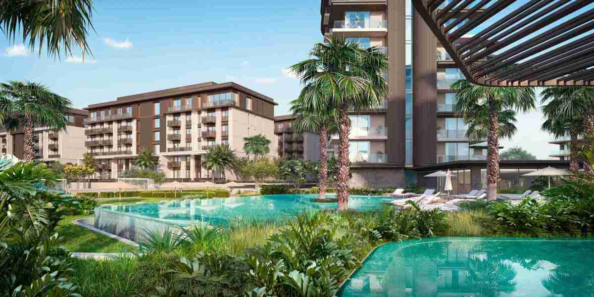 Beyond the Purchase: Understanding the Value of Premium Residential Property in Madinat Jumeirah Living
