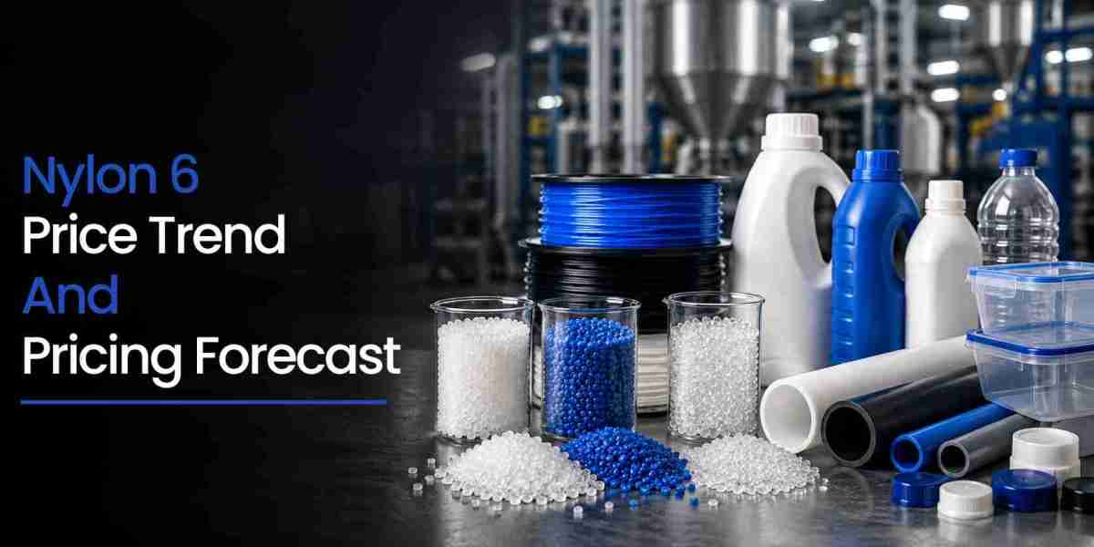 Nylon 6 Price Trends, Forecast, Chart, Prices And Index: Q2 2026 Market Analysis