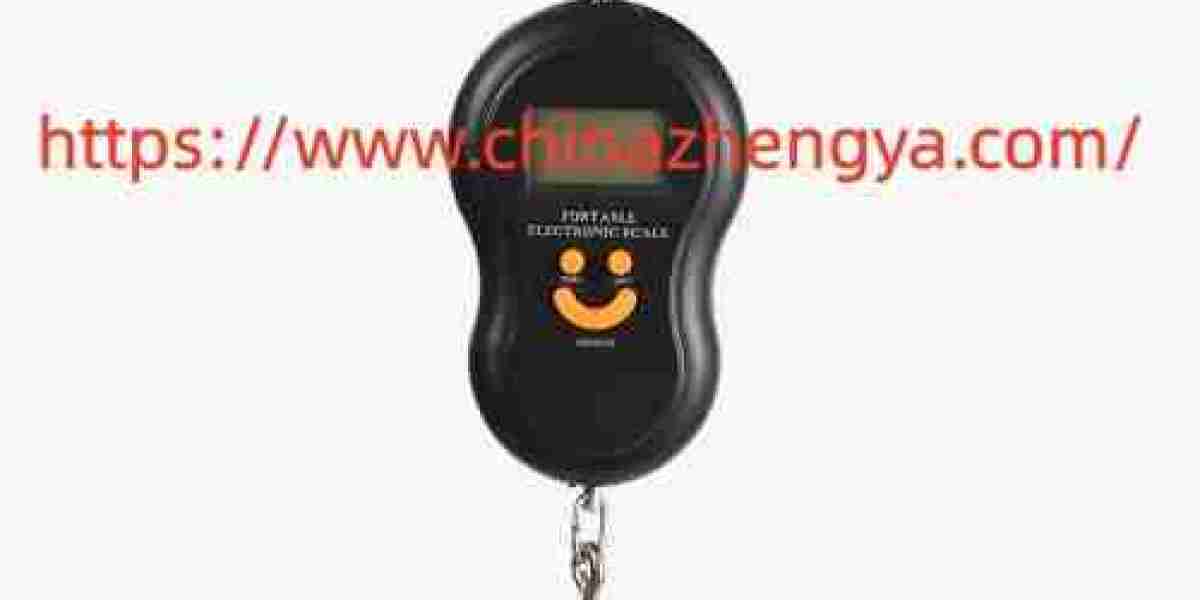 What Should Buyers Check When Choosing a Nengzhi Portable Crane Scale