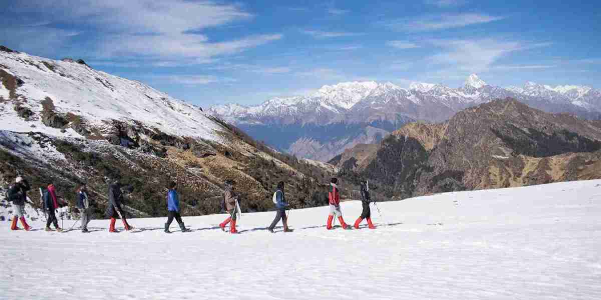 Kuari Pass Trek 2026 | A Complete Guide for Adventure Lovers